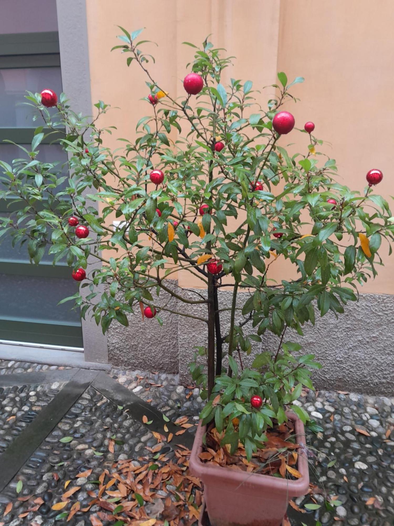 La Corte Dei Cappuccini Bergamo Bagian luar foto