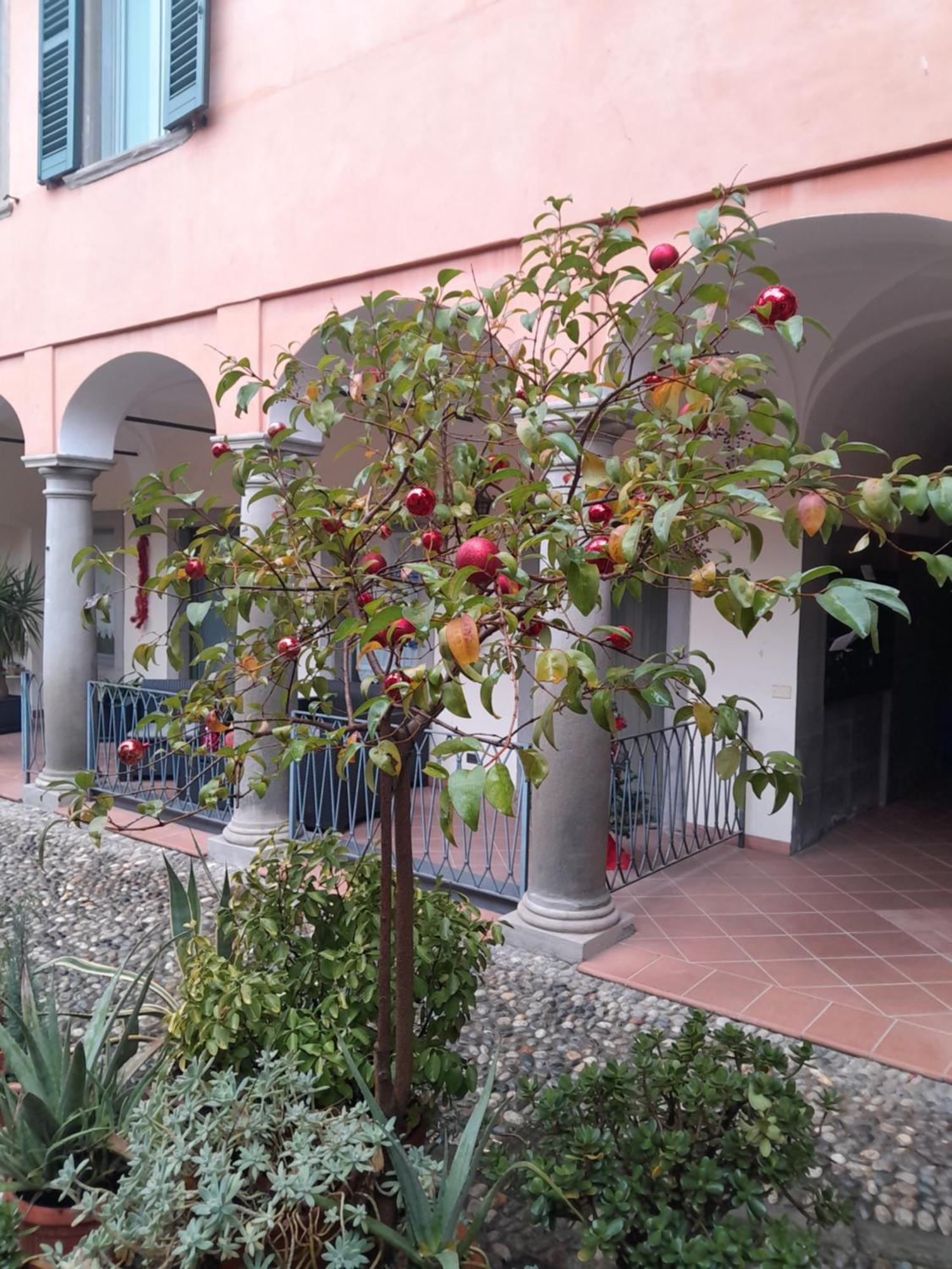 La Corte Dei Cappuccini Bergamo Bagian luar foto